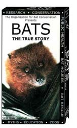 Bats - The True Story